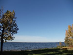 Sky-lake-2-trees1
